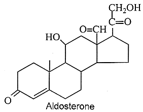 Aldosteron - norma / Krása a zdraví