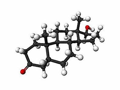 Norma dihydrotestosteronu / Krása a zdraví