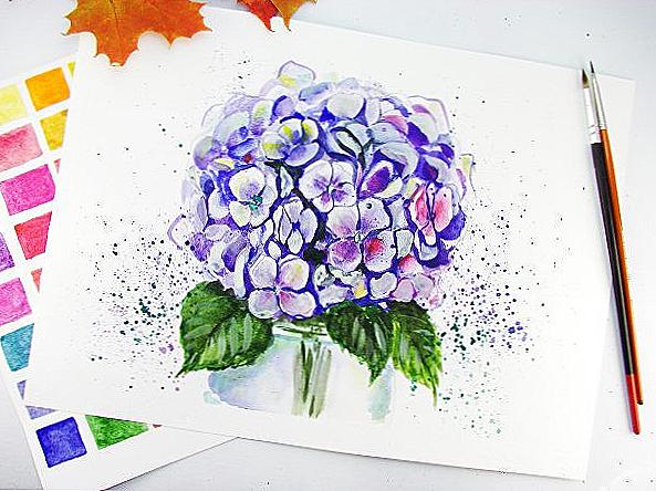 Hydrangea akvarel / Domov a rodina