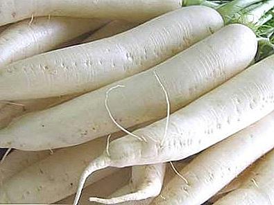 Как да съхранявате Daikon / готварство