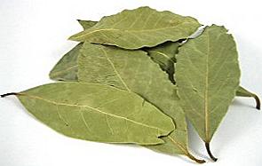 Bay leaf s diabetem / Krása a zdraví