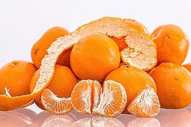 Tangerine během těhotenství / Těhotenství