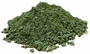 Spirulina užitečné vlastnosti a kontraindikace / Krása a zdraví