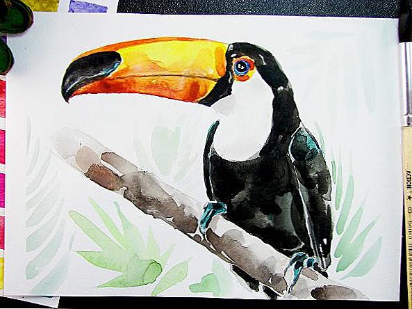 Toucan akvarel / Domov a rodina