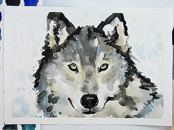 Akvarelový vlk / Domov a rodina