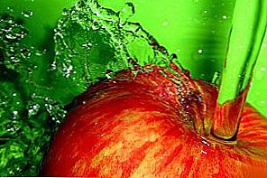 Omega jabukovača Ocem i štetu / Ljepota i zdravlje