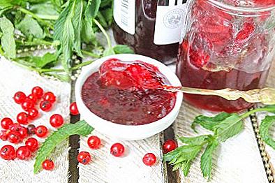Red Currant Jelly za zimu / kulinarstvo